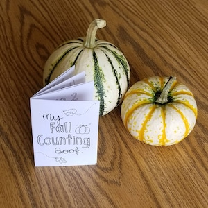 May include: A small, white book with the title "My Fall Counting Book" printed in black. The book is sitting on a wooden table next to two small pumpkins, one white with green stripes and one white with yellow stripes.