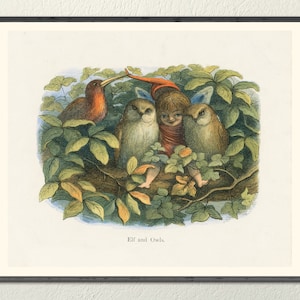 Fantasy print: Elf with Owls. Fine art Giclée print from original lithograph. 1875 print by Richard Doyle, famous illustrator.