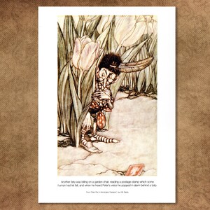 Cuadro de Rackham de Peter Pan. Un hada se esconde detrás de un tulipán. Reproducción mejorada del original en una hermosa tarjeta de arte marcada con fieltro