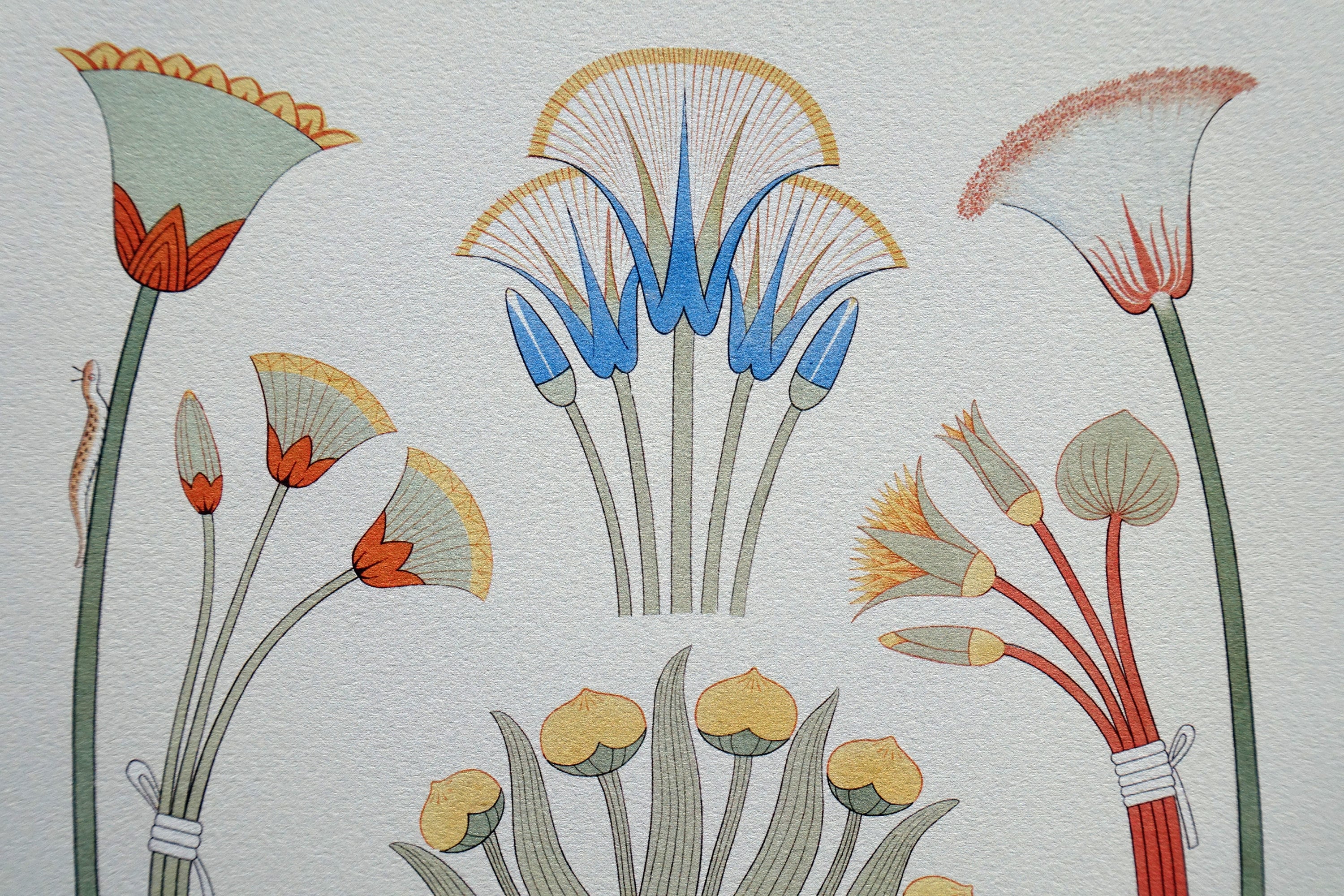 Sacred Lotus Flowers of Ancient Egypt. Symbolic of Death & Etsy UK