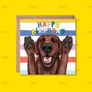May include: A square greeting card featuring a brown Labrador dog with its paws raised, smiling with its mouth open. The background has horizontal stripes in yellow, blue, purple, pink, red, and green. The text HAPPY BIRTHDAY is printed in colorful letters.