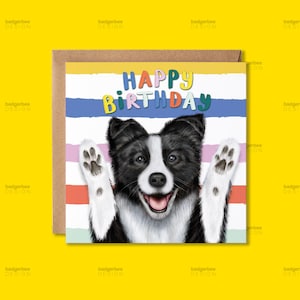 Border Collie Dog Birthday Card, Funny Dog Happy  Birthday Card, Paws Up, Black and White