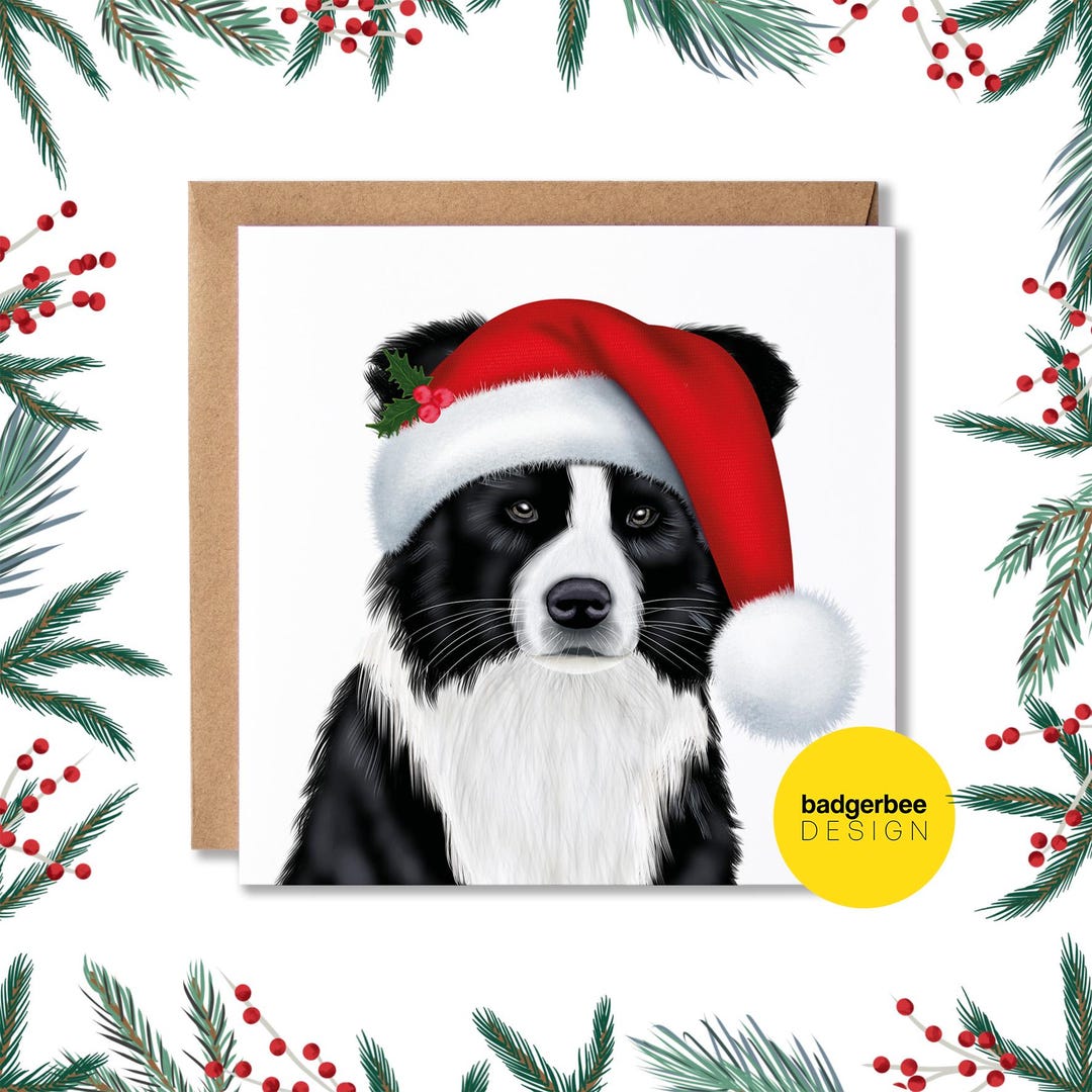 Border Collie Christmas Card, Christmas Card From Dog, Christmas Card ...