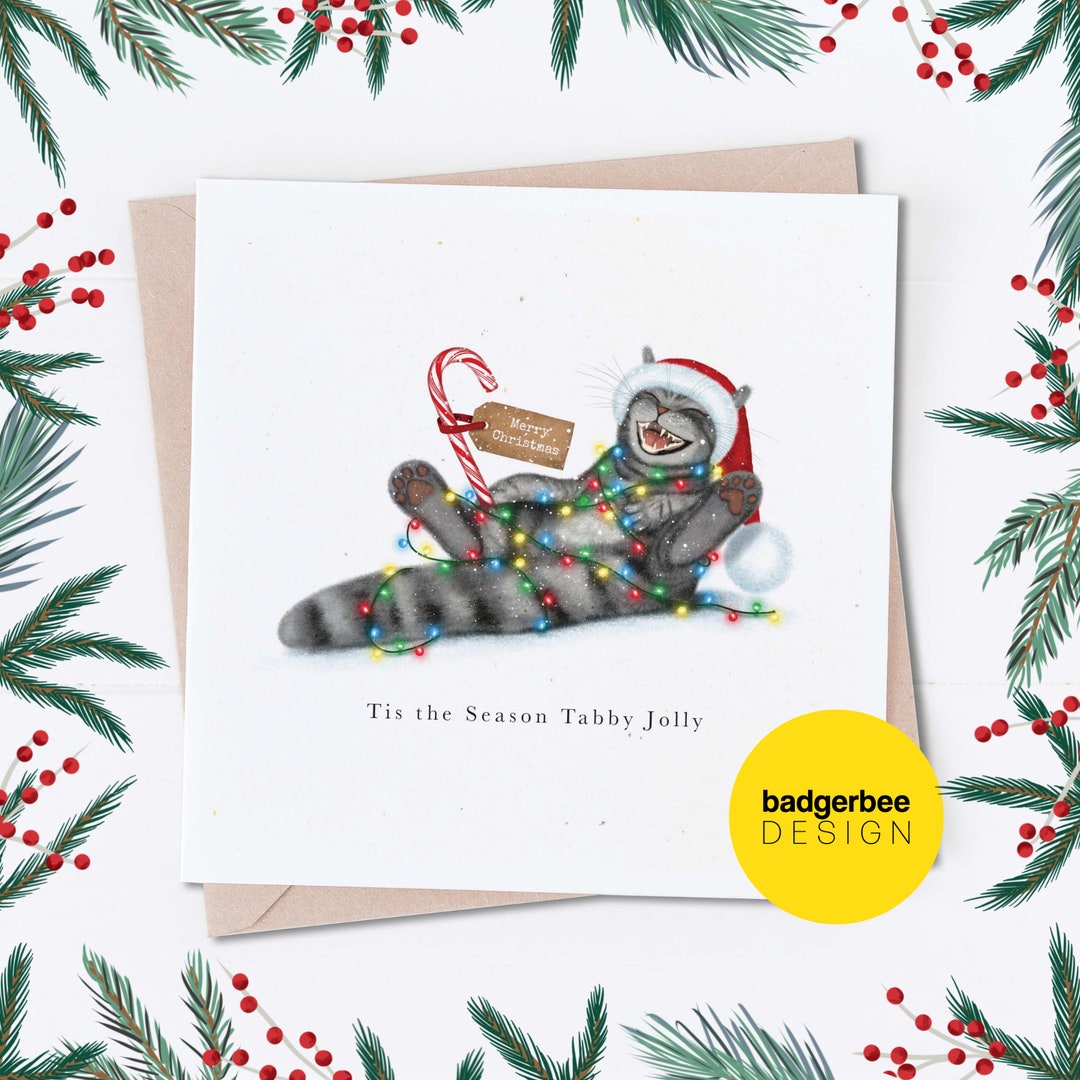 Tabby cat on christmas