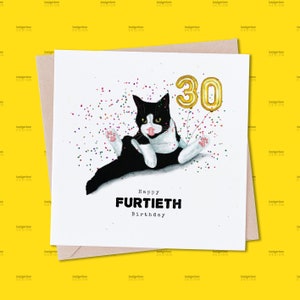 30th Birthday Card, Funny Thirtieth Birthday Card Pun, Black and White Cat Birthday Card, Tuxedo Cat Birthday Card, Cat Pun Birthday Card