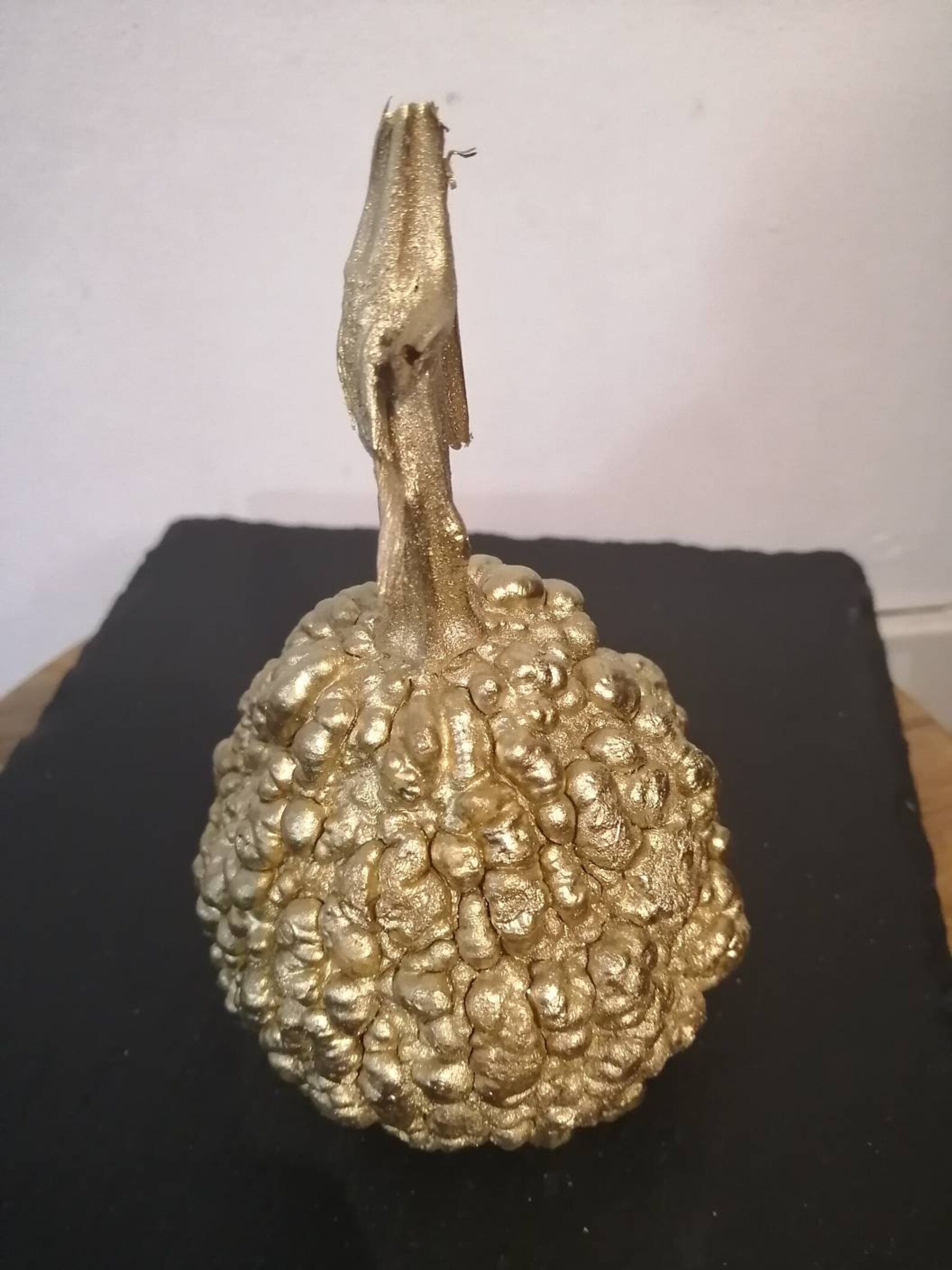 Ornamental Matalic Finished Warty Gourds. Etsy UK