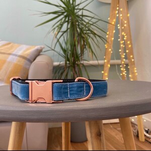 May include: A blue velvet dog collar with a rose gold buckle. The collar is on a gray table.