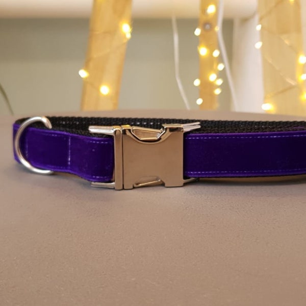 Velvet purple, adjustable, dog collar