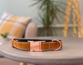 copper dog collar
