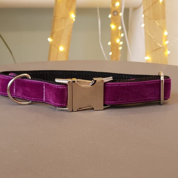 Velvet, Fuchsia, Adjustable, velvet dog collar