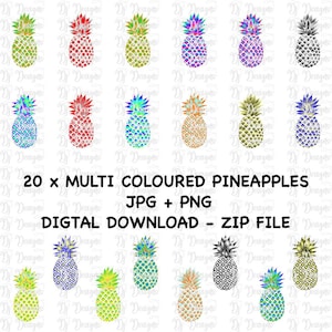 20 x veelkleurige ananas | Digitale clipart | Plakboeken | Digitale poster | Grafisch ontwerp | JPG PNG-clipart: bestand van hoge kwaliteit
