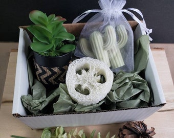 May include: A white gift box filled with green tissue paper, a small potted succulent, a white loofah, and a green cactus shaped soap in a white organza bag.