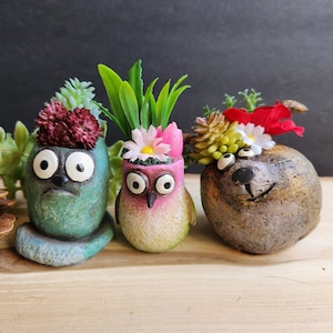 May include: Three ceramic planters shaped like animal faces with green, pink, and brown paint. Each planter has a different type of succulent plant growing inside.