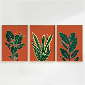Puede incluir: Tres impresiones enmarcadas con un fondo terracota e ilustraciones botánicas verdes. La impresión de la izquierda presenta una flor de ave del paraíso, la impresión del medio presenta una planta serpiente y la impresión de la derecha presenta una planta de ficus.