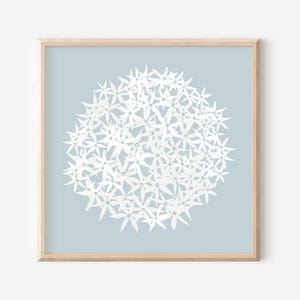 May include: A white floral design on a light blue background. The flowers are arranged in a circular pattern, creating a simple and elegant design.