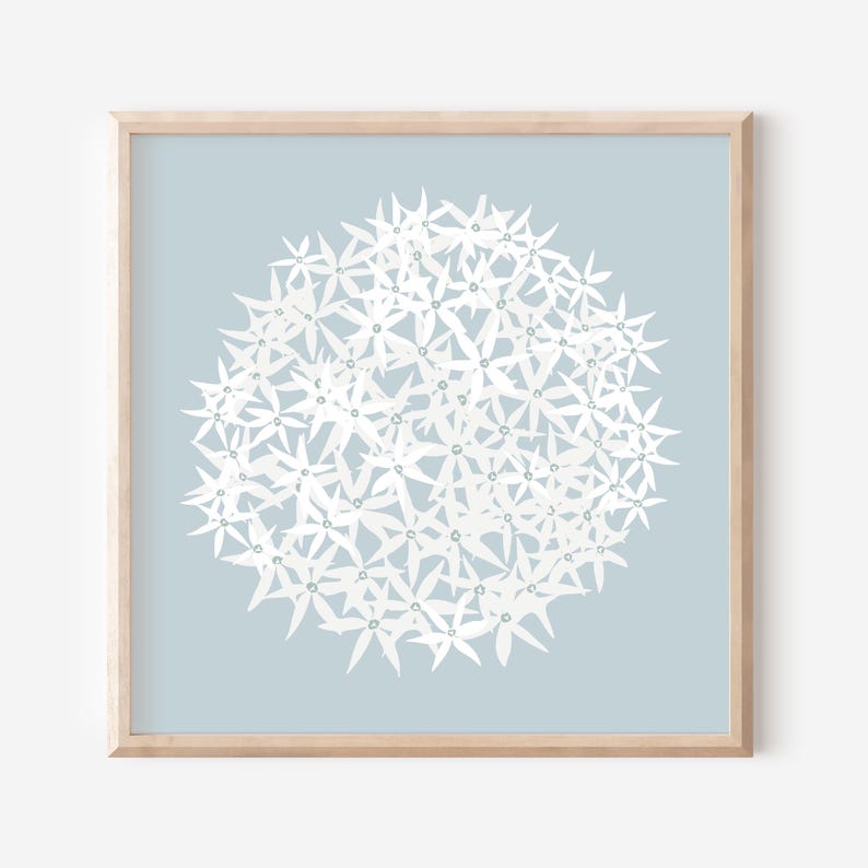 May include: A white floral design on a light blue background. The flowers are arranged in a circular pattern, creating a simple and elegant design.