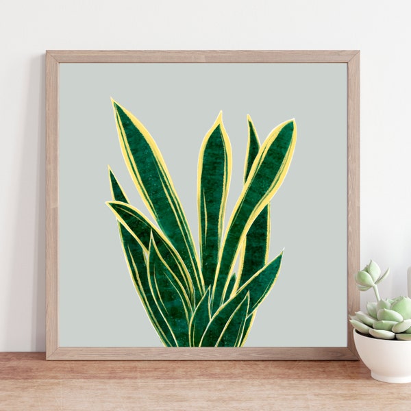 Sage Green Square Wall Art, Snake Plant Art Print, Green Living Room, Kitchen or Bedroom Square Wall Art Prints