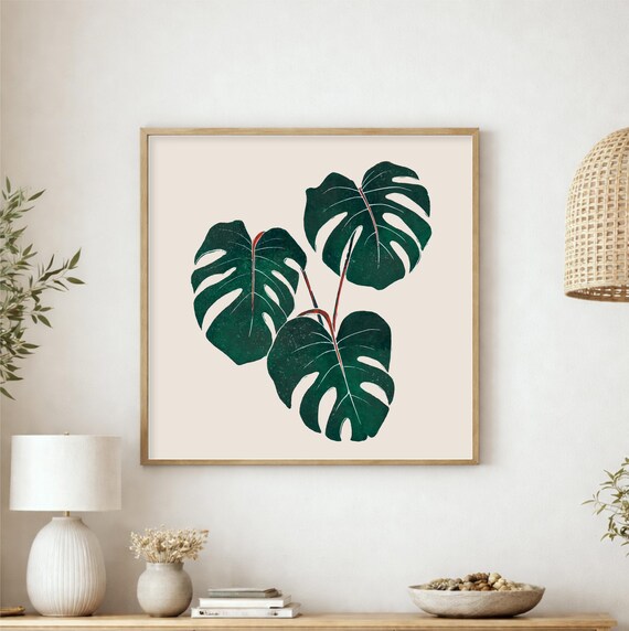 pothos soil mix Houseplant Chunky Mix