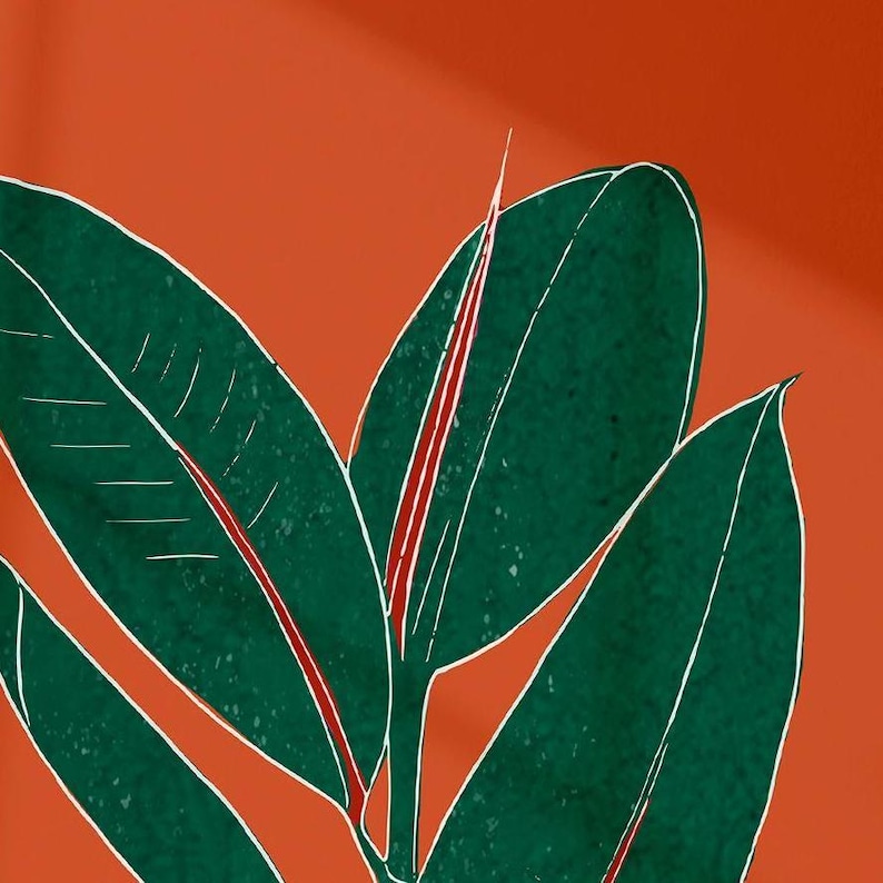 Rust orange botanical rubber plant print, wall art for bedroom, living room or office decor, A5, A4 or A3 boho gallery wall picture image 12