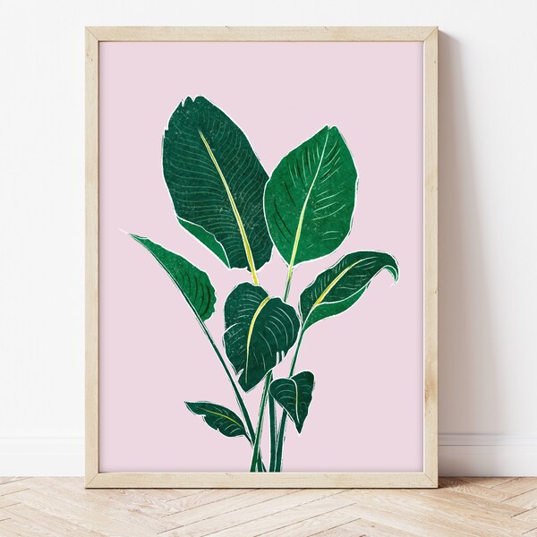 Blush Pink Wall Art Etsy UK