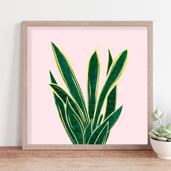 Snake Plant Print, Modern Botanical Art, Soft Pink Decor
