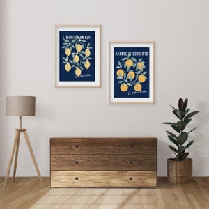 May include: Two framed wall art prints featuring botanical illustrations on a dark blue background. The left print displays yellow lemons with the text Limoni di Amalfi and La Dolce Vita. The right print shows orange fruit with Arance di Sorrento and La Vita e Bella.