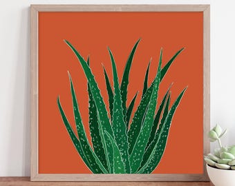 Lámina artística de aloe vera naranja quemado – Arte mural botánico cuadrado
