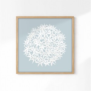 Blue allium print, minimalist floral wall art, botanical artwork for living room, bedroom, hallway or home office, square wall decor image 12