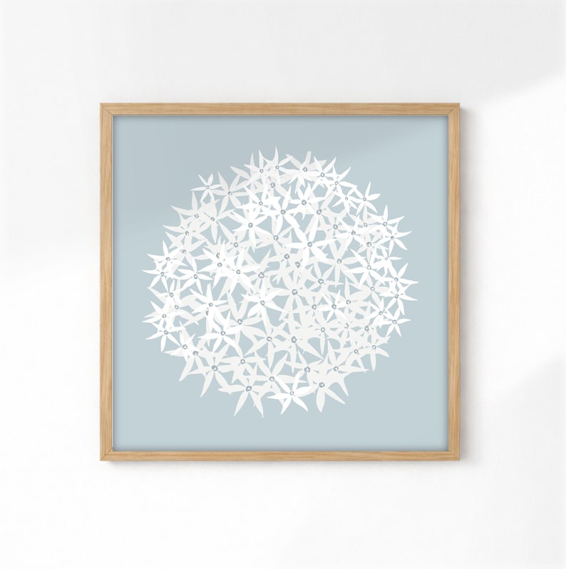 Blue allium print, minimalist floral wall art, botanical artwork for living room, bedroom, hallway or home office, square wall decor image 12