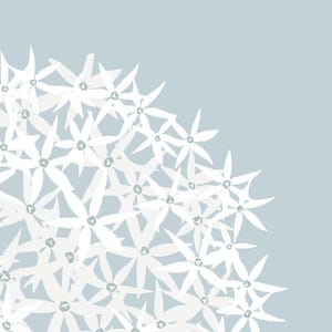 May include: A light blue background with a cluster of white stylized flowers in the bottom right corner.