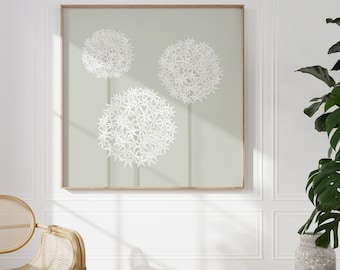 3 Alliums Square Print – Sage Green Botanical Wall Art