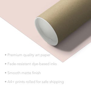 May include: A brown cardboard tube with a white edge, used for safely shipping prints. The tube is on a light pink background with text describing the print quality: "Premium quality art paper", "Fade-resistant dye-based inks", "Smooth matte finish", and "A4+ prints rolled for safe shipping."