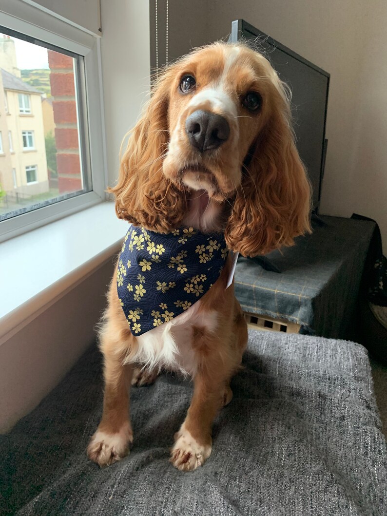 Gold Cherry Blossom Slip-on Dog Bandana