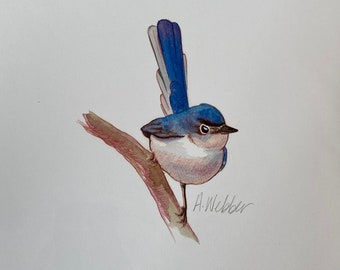 Color Print of Blue-Gray Gnatcatcher Song bird
