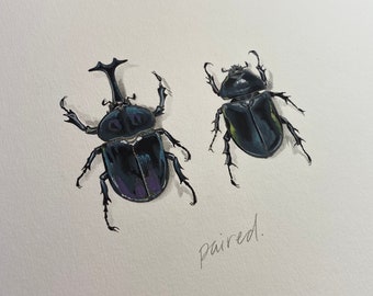 Pair of Rhinoceros Beetles, limited edition archival print of original painting