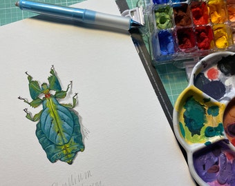 Phyllium giganteum Beetle, limited edition archival print of original painting