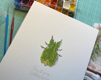 Phyllium bioculatum Beetle, limited edition archival print of original painting