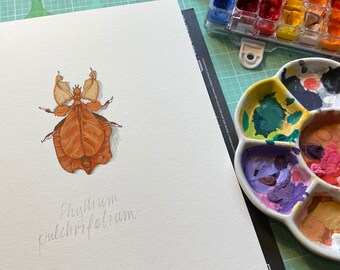 Phyllium pulchrifolium Beetle, limited edition archival print of original painting