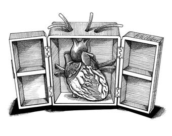 Guarded - Black and white anatomical print of boxed heart