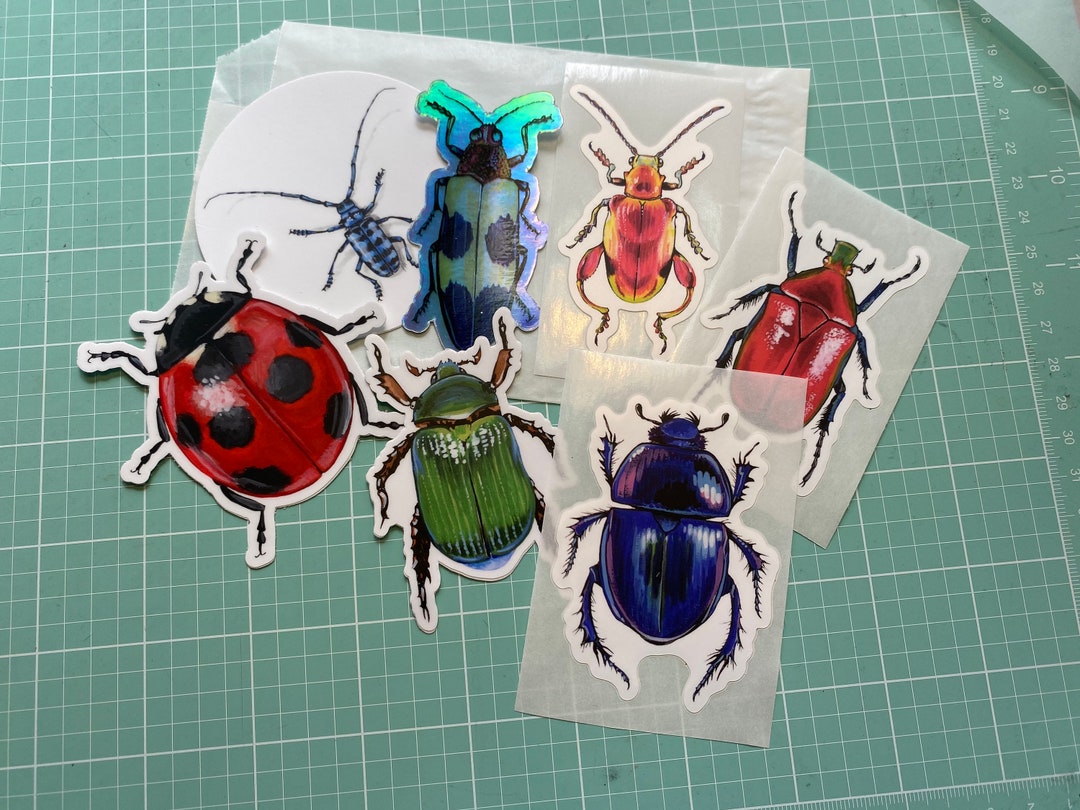 Sticker Pack of Beetles! High Quality, UV Resistant, Indoor/outdoor ...