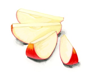 Apple Slices #3, limited edition archival print of original gouache painting