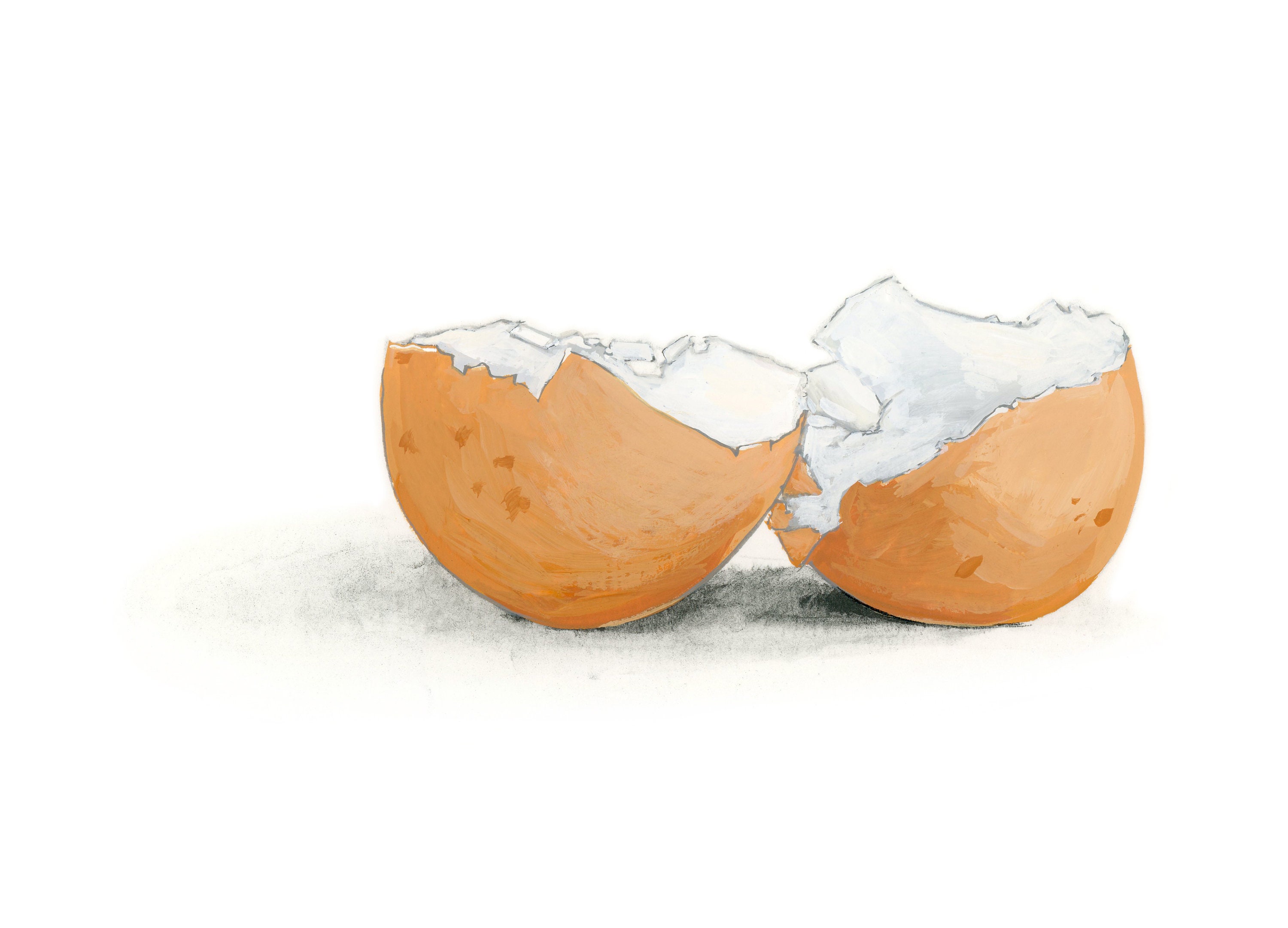 Egg Shells, limited edition archival print of original gouache painting