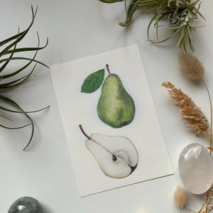 Pear art print DIN A6 postcard art print