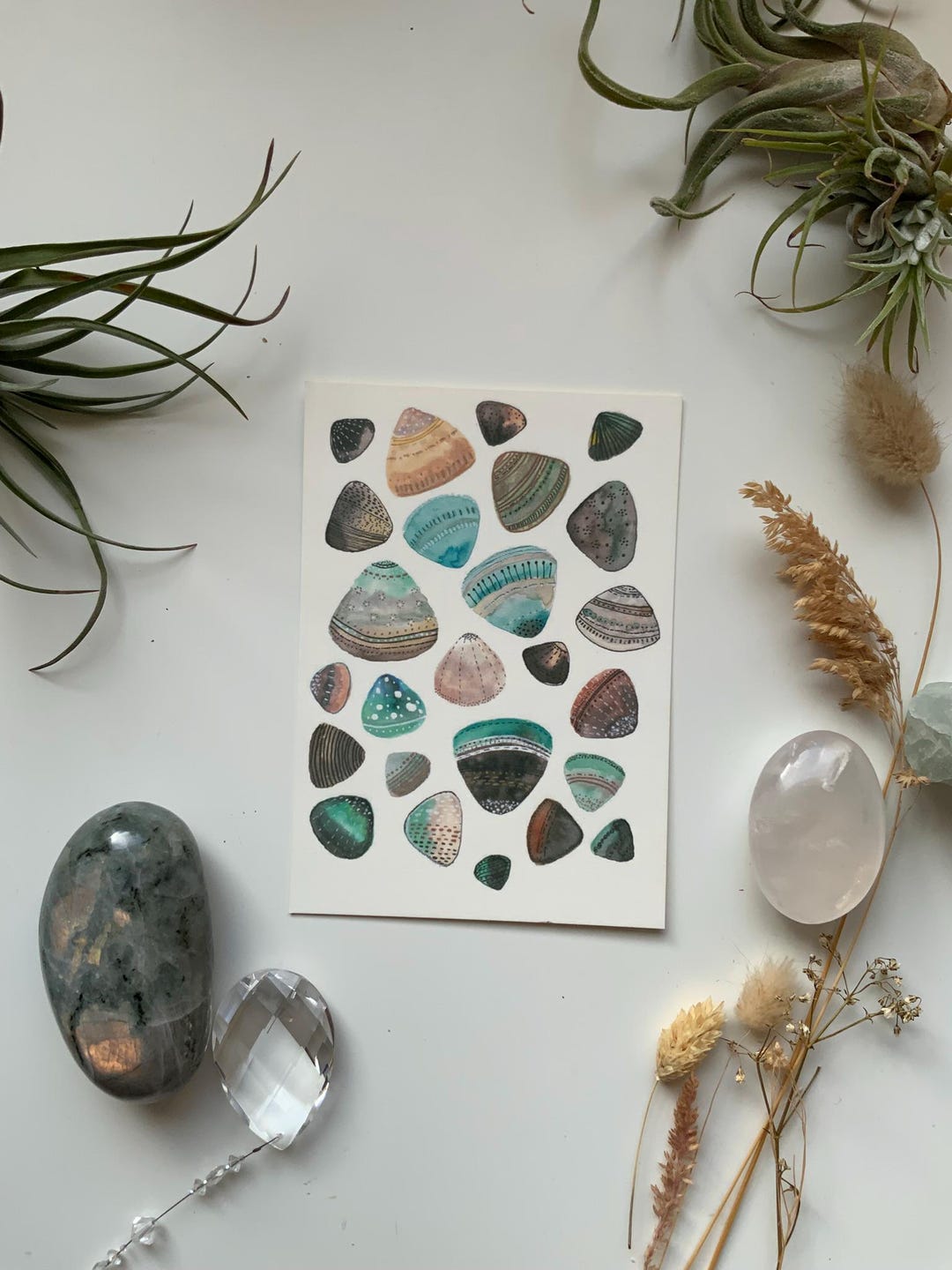 Shells Art Print DIN A6 Postcard Art Print Pattern - Etsy