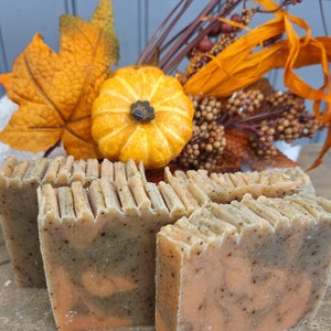 Handcrafted, Goat Milk Soap, Gift Soap, All-natural handmade soap, Artisan Soap, Homemade Soap you pick your scent, Shea Butter Soap