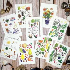Set di 10 cartoline sorpresa piante vintage fiori erbe natura compleanno folklore funghi uccelli