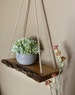 Bark Edge, Hanging Plant Shelf, Rope Shelf, Hanging Shelf, Hanging Planter, Planter Shelf, Wall Rope Shelves, Triangle Swing Shelves 