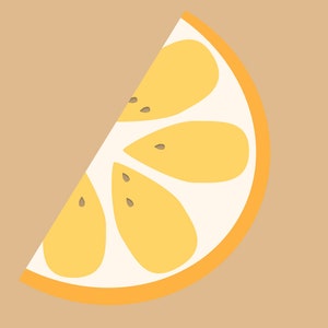 Orange Slice Vector Illustration Printable Art - Citrus Slice - Fruit