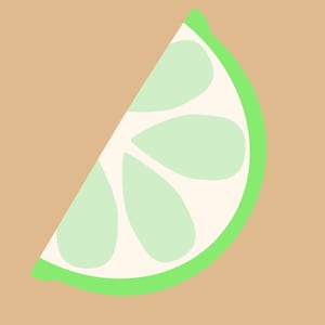 Lime Slice Vector Illustration Printable Art - Citrus Slice - Fruit