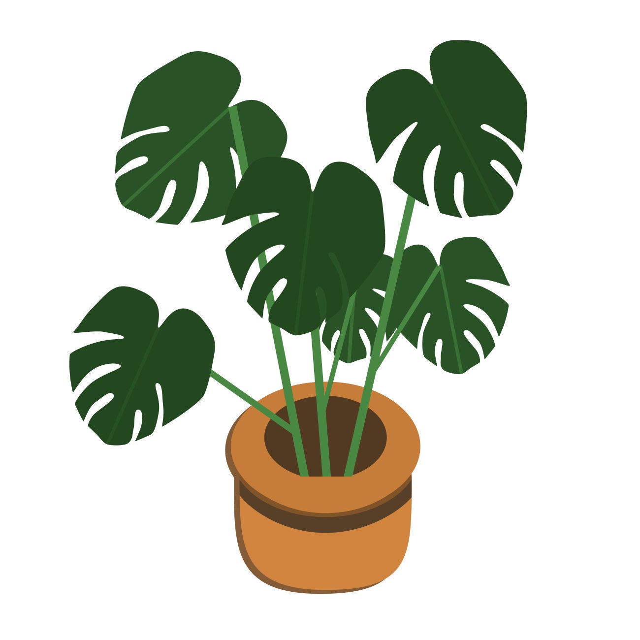 Swiss Cheese Plant Vector Illustration Printable Art Etsy